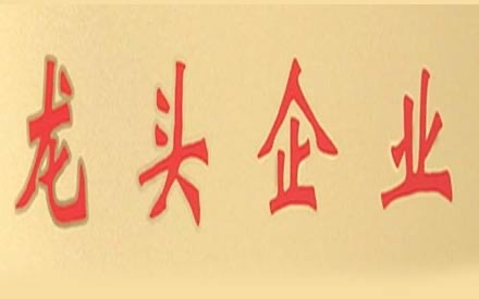 熱烈祝賀森普管材被確定為2017年度“龍頭企業(yè)”